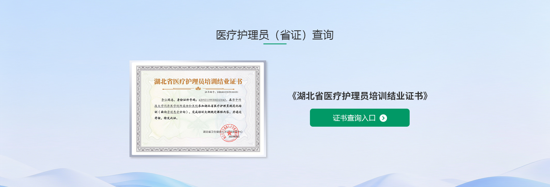 医疗护理员查询